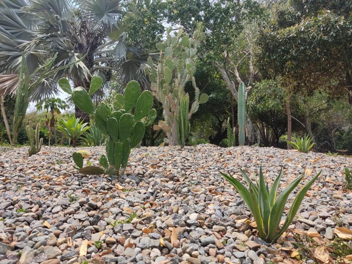 Arizona Ranch Hotel 吉拉尔多特 外观 照片